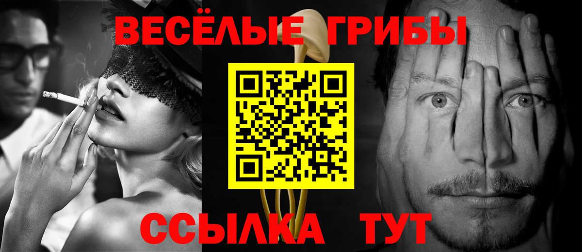 Галлюциногенные грибы MAGIC MUSHROOMS  где продают   Бутурлиновка  Вход с VPN 