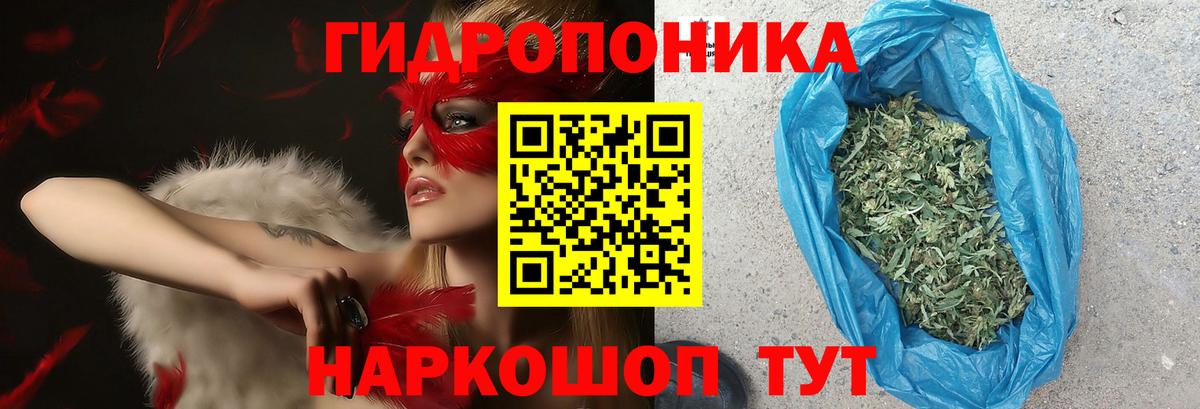 Конопля тримм  Каннабис LSD WEED  Бутурлиновка  МАРИХУАНА OG Kush  Вход с VPN  Каннабис планчик 